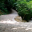 Path to the Grotto, Mary Magdalene, St Max Ste Baume